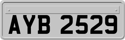 AYB2529