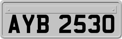 AYB2530