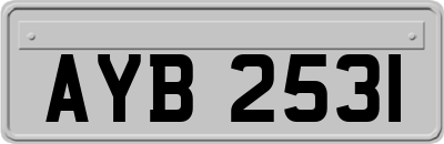 AYB2531
