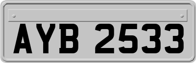 AYB2533