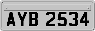AYB2534
