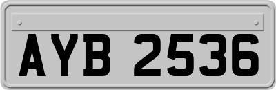 AYB2536