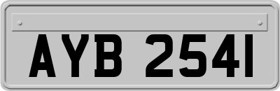 AYB2541