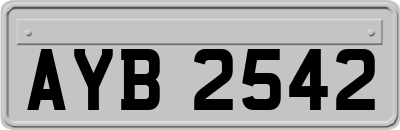AYB2542