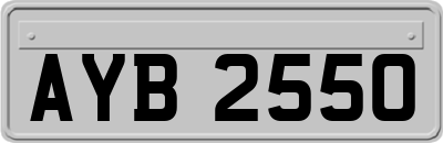 AYB2550