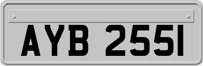 AYB2551