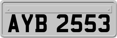 AYB2553