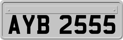 AYB2555