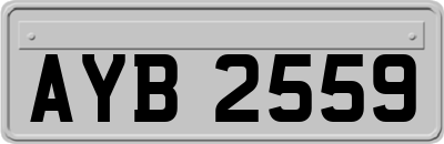 AYB2559
