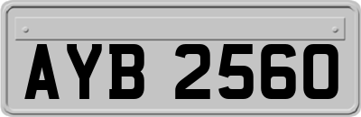 AYB2560