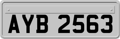 AYB2563