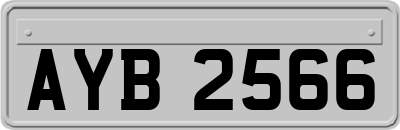 AYB2566