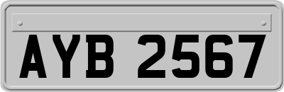 AYB2567