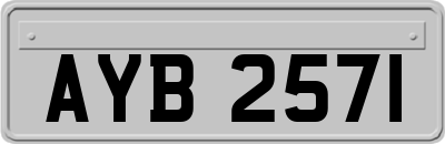 AYB2571