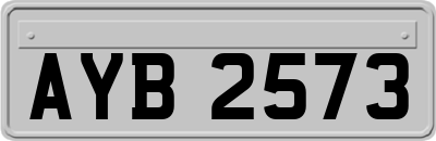 AYB2573