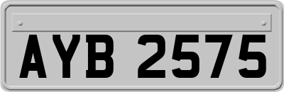 AYB2575
