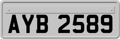 AYB2589