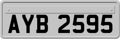 AYB2595