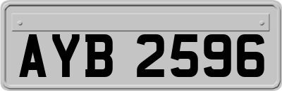 AYB2596