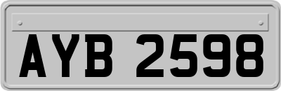 AYB2598