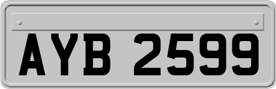 AYB2599