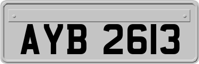 AYB2613