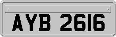 AYB2616