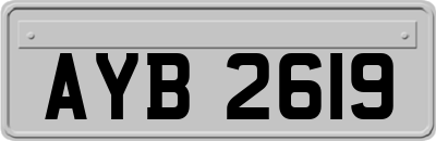 AYB2619