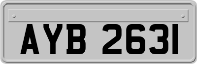 AYB2631