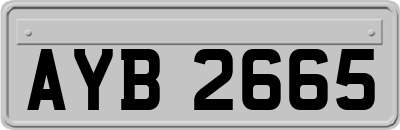 AYB2665