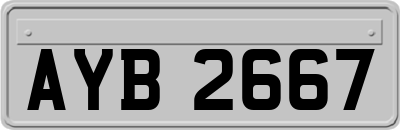 AYB2667