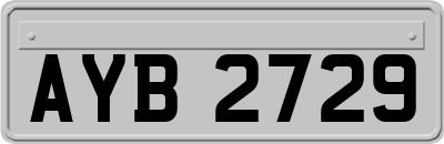 AYB2729