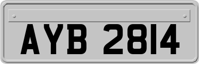 AYB2814
