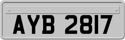 AYB2817