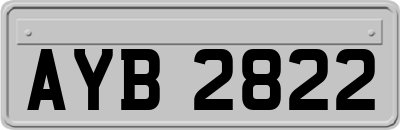 AYB2822