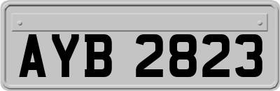 AYB2823