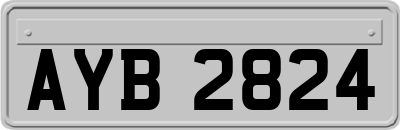 AYB2824