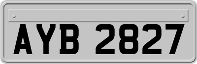 AYB2827