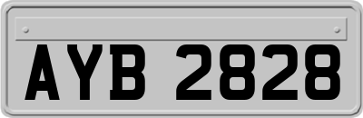 AYB2828
