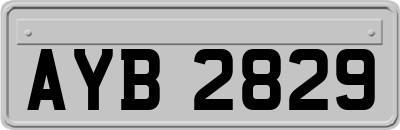 AYB2829