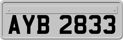 AYB2833