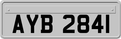 AYB2841