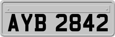 AYB2842