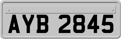AYB2845