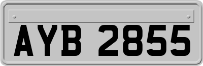 AYB2855