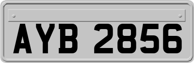 AYB2856