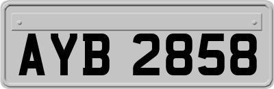 AYB2858