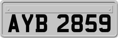 AYB2859