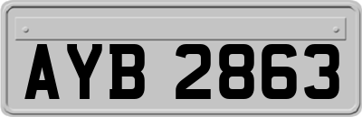 AYB2863