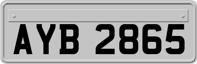 AYB2865